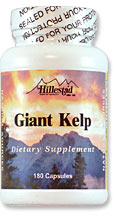Giant Kelp